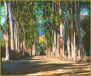 Morning on Park Lane: Montecito