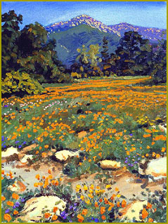 Poppies